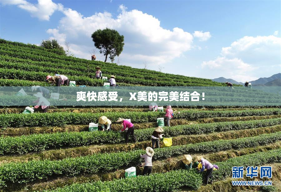 爽快感受，X美的完美结合！