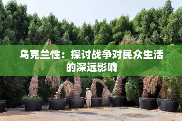 乌克兰性：探讨战争对民众生活的深远影响
