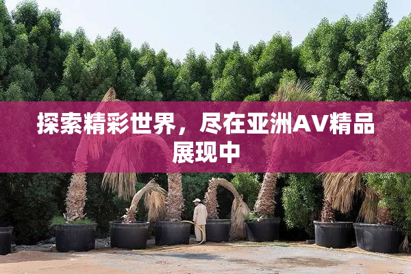 探索精彩世界，尽在亚洲AV精品展现中