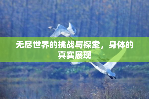 无尽世界的挑战与探索，身体的真实展现