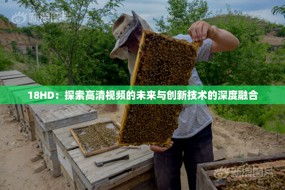 18HD：探索高清视频的未来与创新技术的深度融合