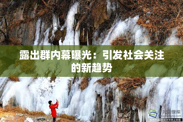露出群内幕曝光：引发社会关注的新趋势