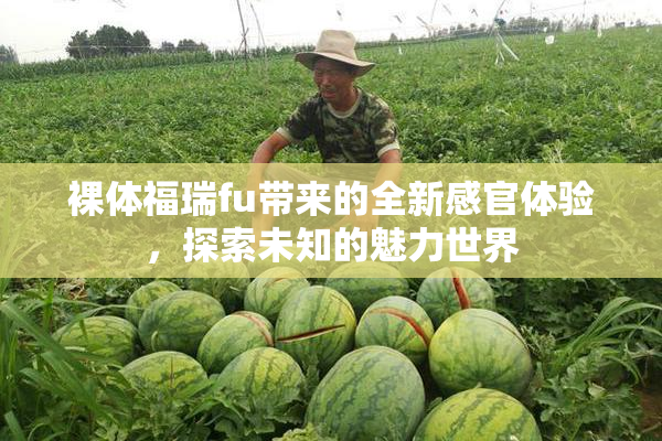 裸体福瑞fu带来的全新感官体验，探索未知的魅力世界