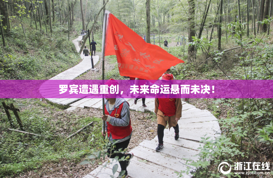 罗宾遭遇重创，未来命运悬而未决！