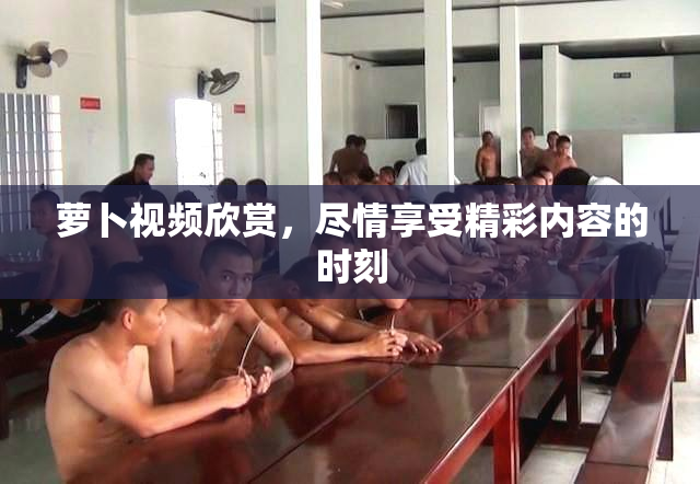 萝卜视频欣赏，尽情享受精彩内容的时刻
