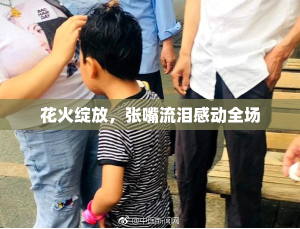 花火绽放，张嘴流泪感动全场