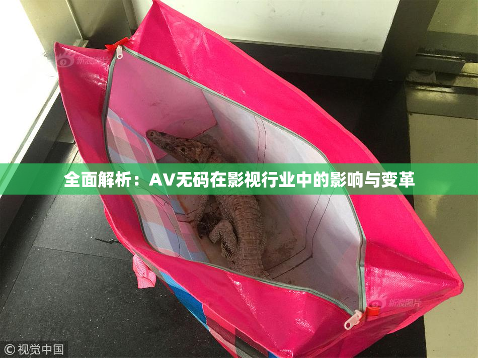全面解析：AV无码在影视行业中的影响与变革