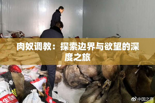 肉奴调教：探索边界与欲望的深度之旅