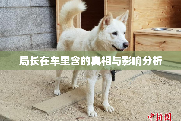 局长在车里含的真相与影响分析