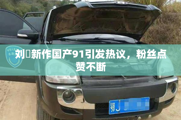 刘玥新作国产91引发热议，粉丝点赞不断