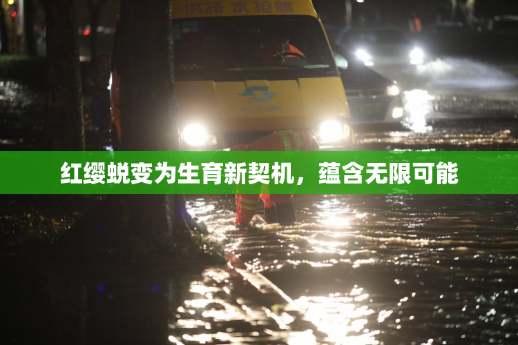 红缨蜕变为生育新契机，蕴含无限可能