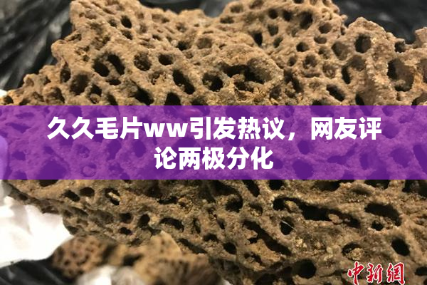 久久毛片ww引发热议，网友评论两极分化