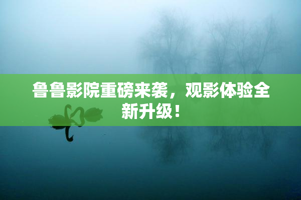 鲁鲁影院重磅来袭，观影体验全新升级！