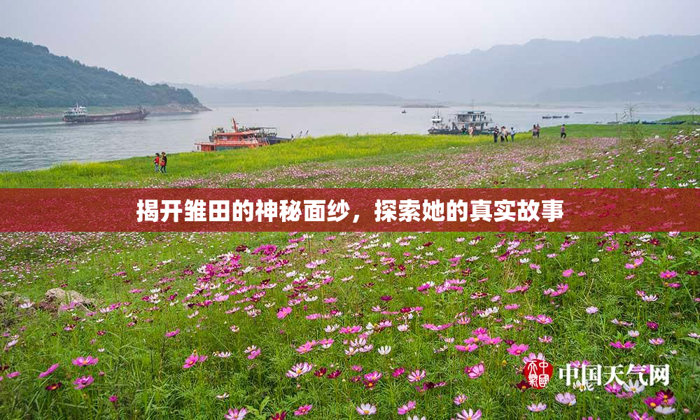 揭开雏田的神秘面纱，探索她的真实故事