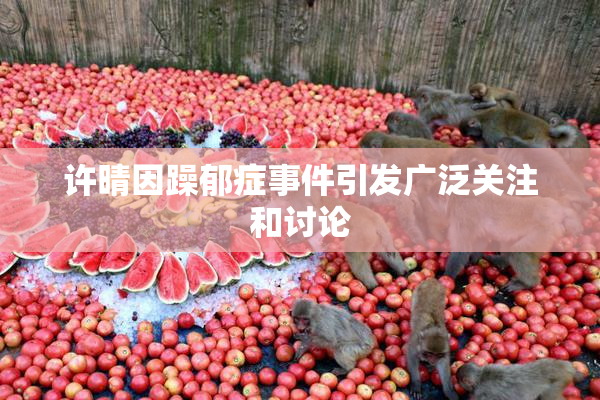 许晴因躁郁症事件引发广泛关注和讨论