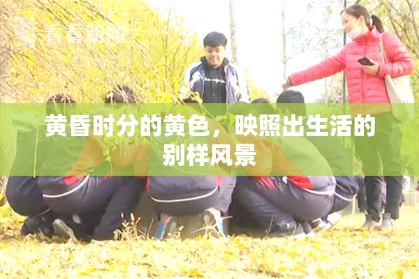 黄昏时分的黄色，映照出生活的别样风景
