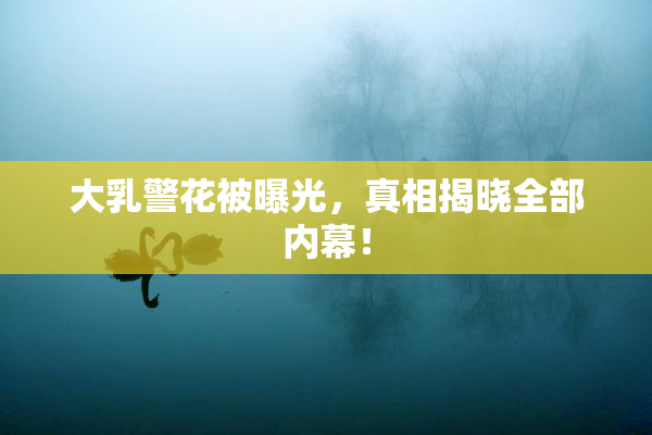 大乳警花被曝光，真相揭晓全部内幕！