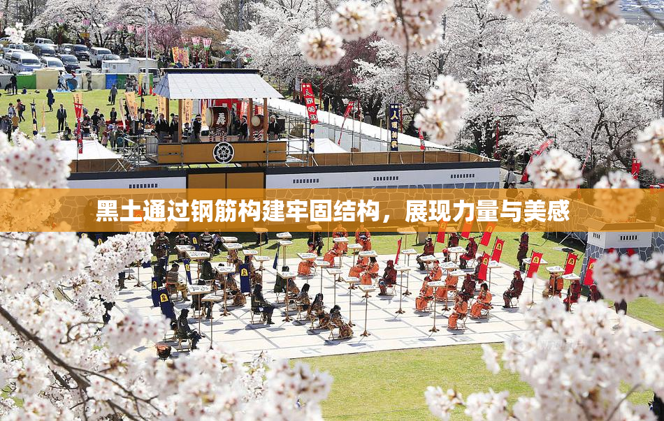 黑土通过钢筋构建牢固结构，展现力量与美感
