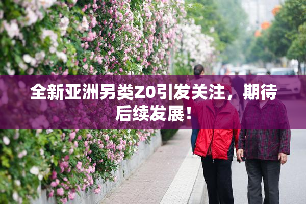 全新亚洲另类Z0引发关注，期待后续发展！