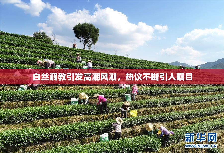 白丝调教引发高潮风潮，热议不断引人瞩目