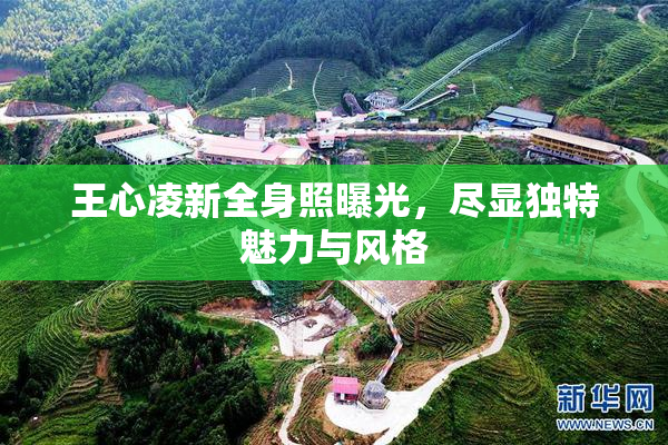 王心凌新全身照曝光，尽显独特魅力与风格