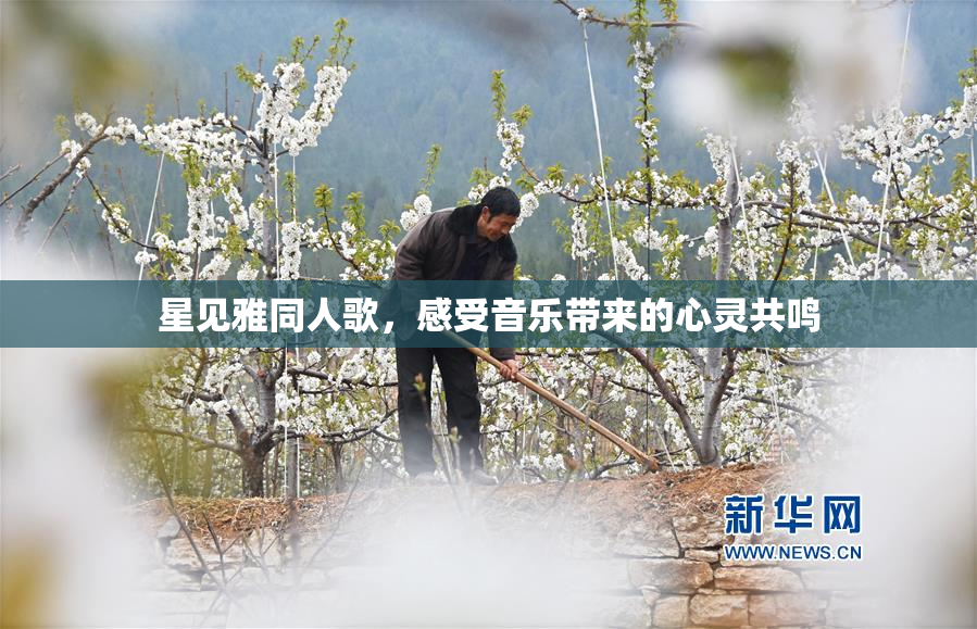 星见雅同人歌，感受音乐带来的心灵共鸣
