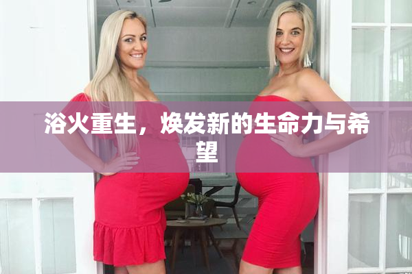 浴火重生，焕发新的生命力与希望