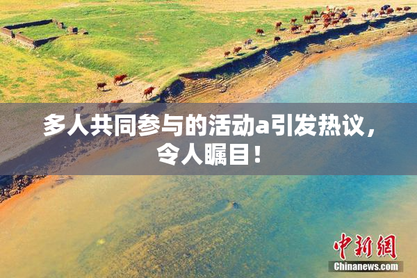 多人共同参与的活动a引发热议，令人瞩目！