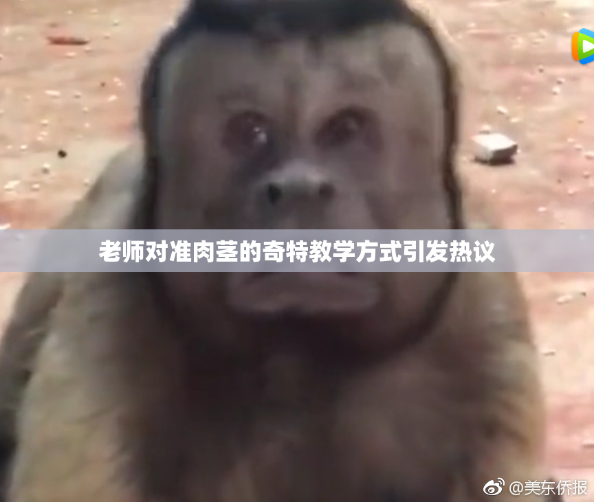 老师对准肉茎的奇特教学方式引发热议