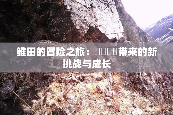 雏田的冒险之旅：❌‌❌‌带来的新挑战与成长