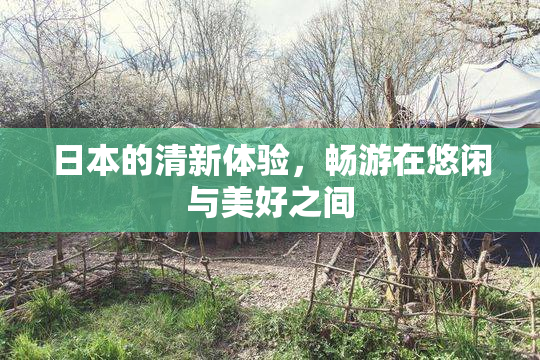 日本的清新体验，畅游在悠闲与美好之间
