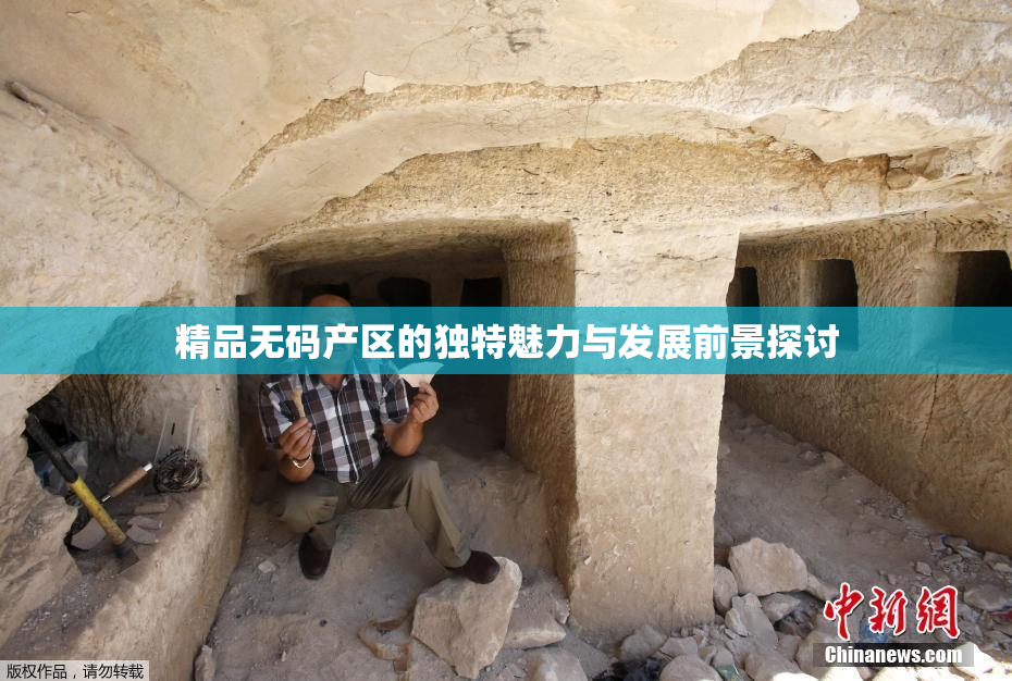 精品无码产区的独特魅力与发展前景探讨