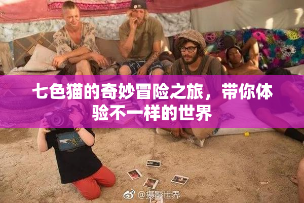 七色猫的奇妙冒险之旅，带你体验不一样的世界