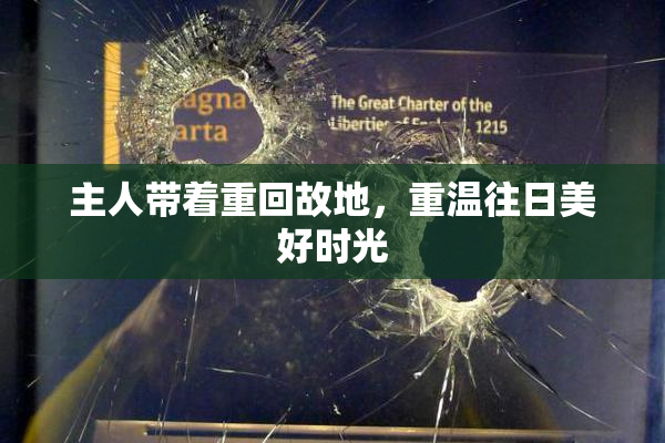 主人带着重回故地，重温往日美好时光