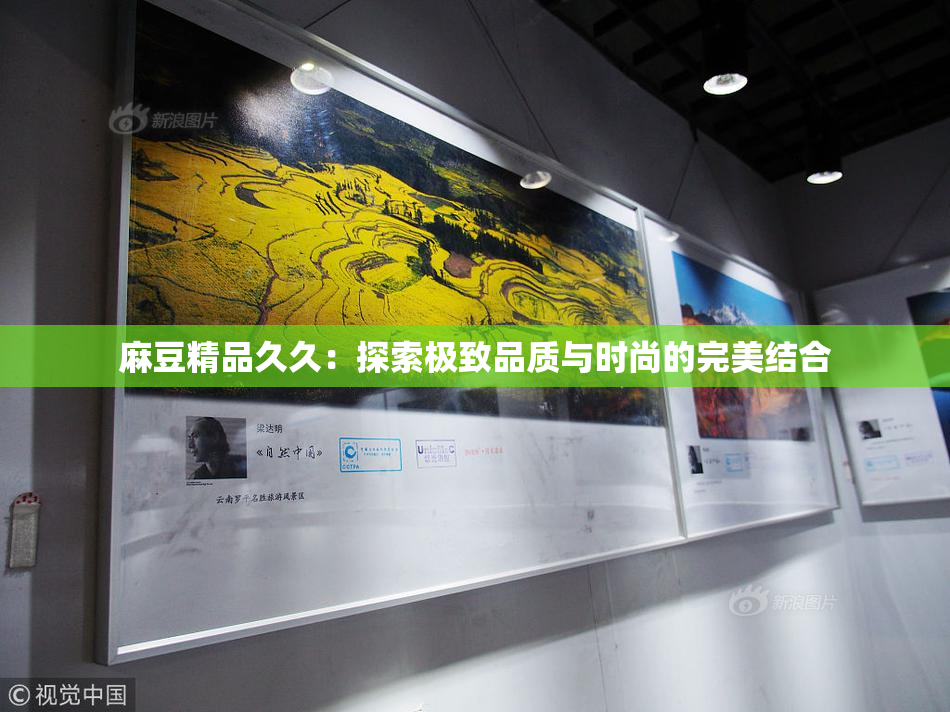 麻豆精品久久：探索极致品质与时尚的完美结合