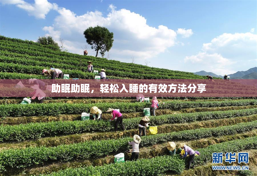 助眠助眠，轻松入睡的有效方法分享