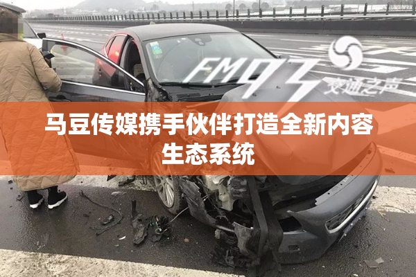 马豆传媒携手伙伴打造全新内容生态系统