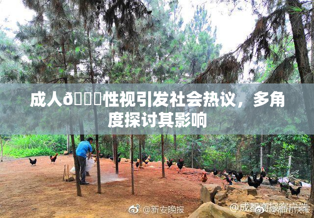 成人🔞性视引发社会热议，多角度探讨其影响