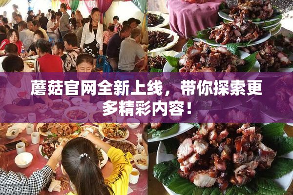 蘑菇官网全新上线，带你探索更多精彩内容！
