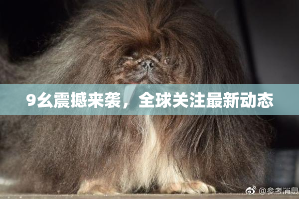 9幺震撼来袭，全球关注最新动态