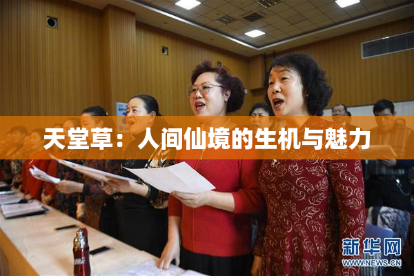 天堂草：人间仙境的生机与魅力