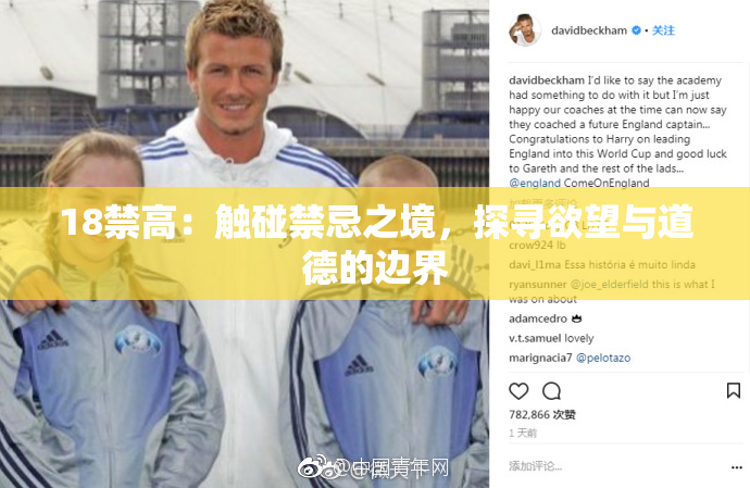 18禁高：触碰禁忌之境，探寻欲望与道德的边界