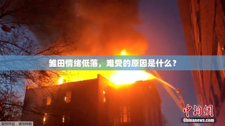 雏田情绪低落，难受的原因是什么？