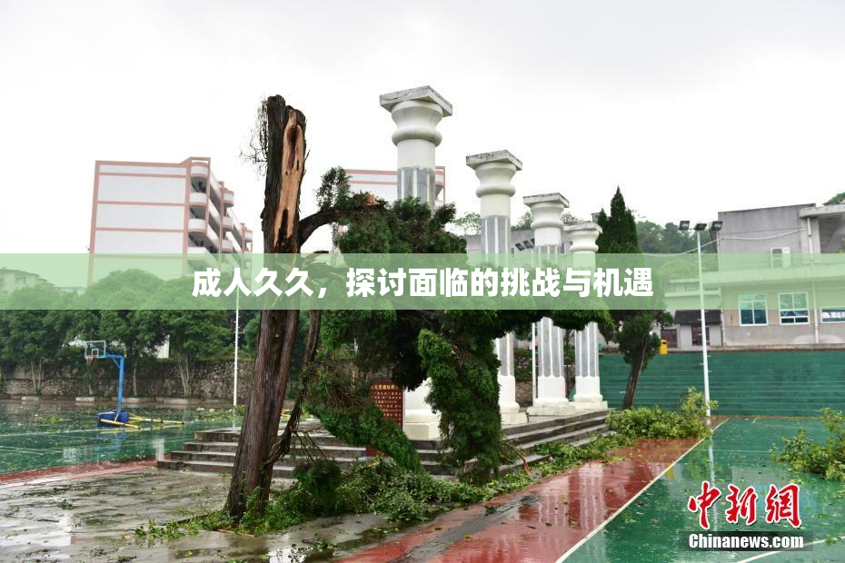 成人久久，探讨面临的挑战与机遇