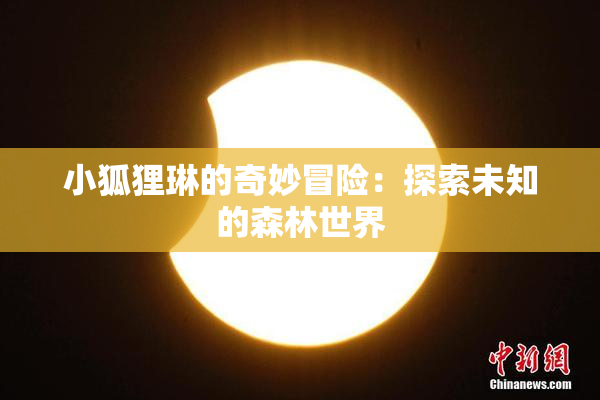 小狐狸琳的奇妙冒险：探索未知的森林世界