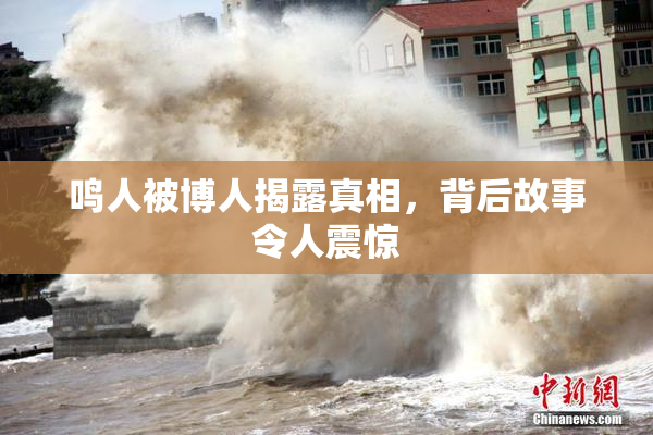 鸣人被博人揭露真相，背后故事令人震惊