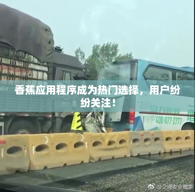 香蕉应用程序成为热门选择，用户纷纷关注！