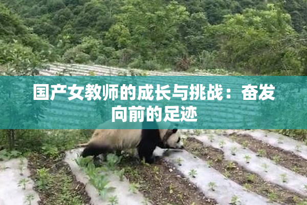国产女教师的成长与挑战：奋发向前的足迹