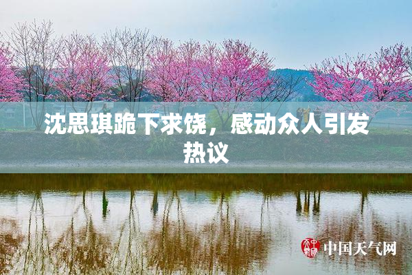 沈思琪跪下求饶，感动众人引发热议