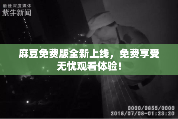麻豆免费版全新上线，免费享受无忧观看体验！